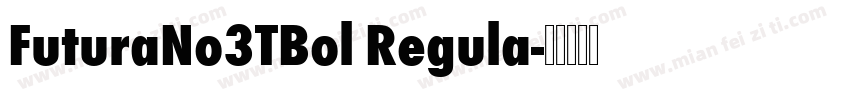 FuturaNo3TBol Regula字体转换